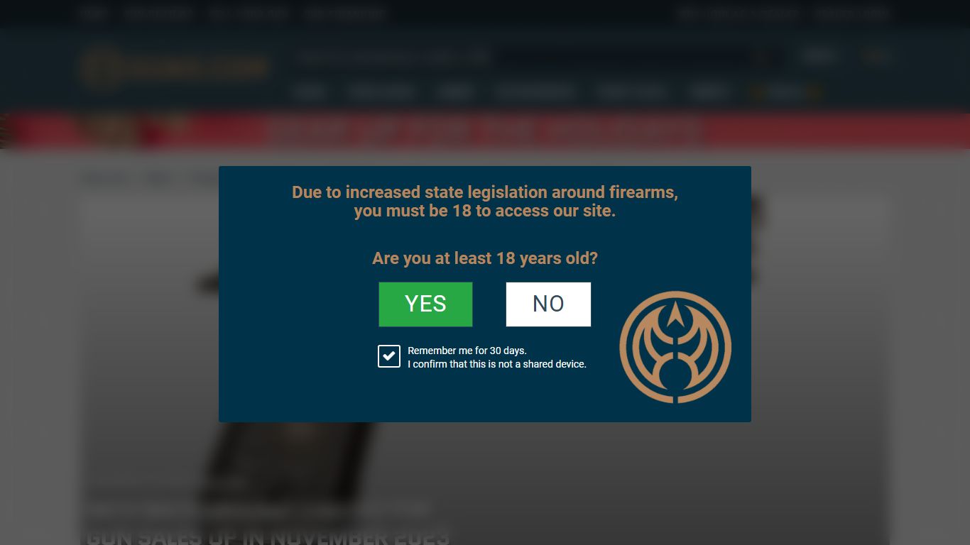 NICS Background Checks for Gun Sales Up in November 2023